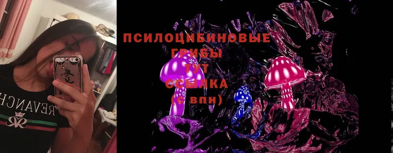 Галлюциногенные грибы MAGIC MUSHROOMS  купить наркотики цена  Дрезна 